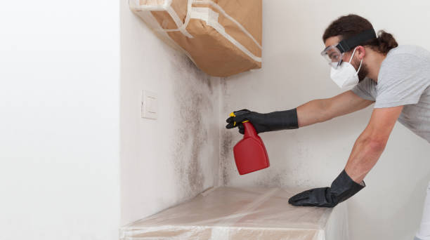 Professional Bathroom Mold Removal technician working in Burlington, NC