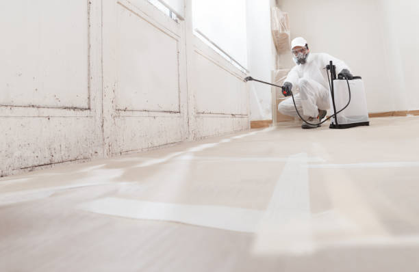 24/7 Emergency Bathroom Mold Removal experts in Burlington, NC