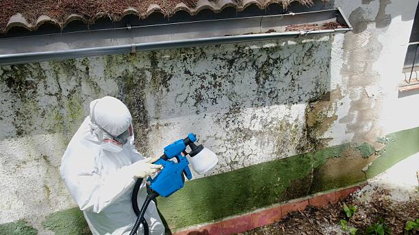 Top rated local Bathroom Mold Removal specialists in Burlington, NC